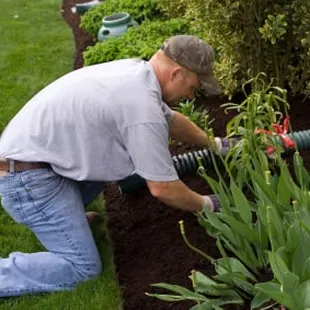 a man working in the garden
