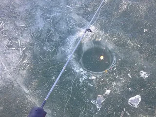 Beaver Lake Association