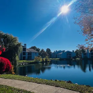 Arbors of Dublin NOV2024