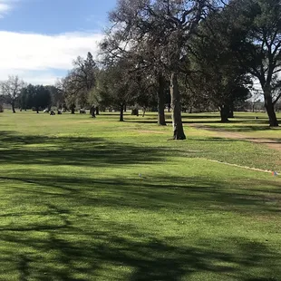 Tree lined fairways.