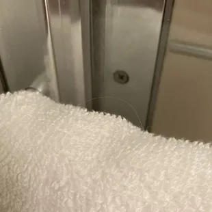 Hair on towel