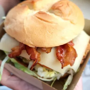 a person holding a sandwich in a box