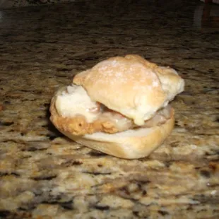 the chicken slider. big piece of chicken.