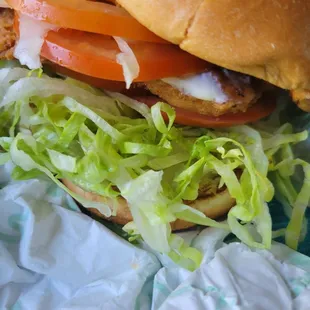 Double tomatoes (my son doesn't like it) - crispy chicken sandwich - 4/21/24