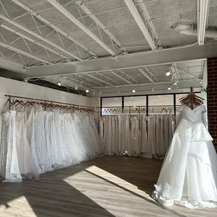 Gown selection (November 2024)