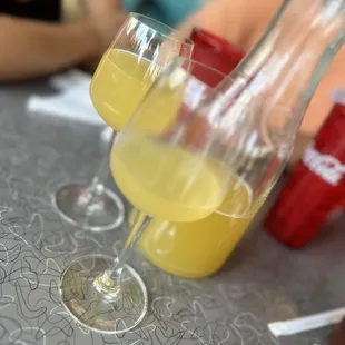 Mimosa