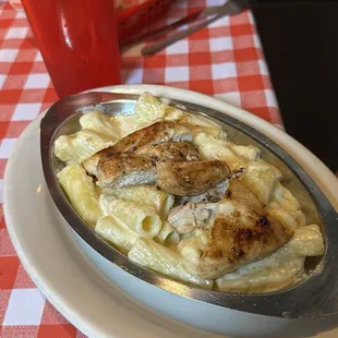 Chicken Rigatoni Alfredo