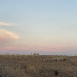 Restful spot at lake Arcardia