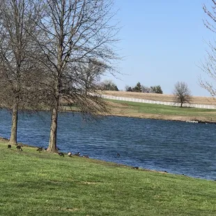 More views of the lake