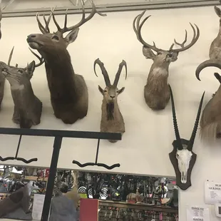 Felt like I was being watched lol