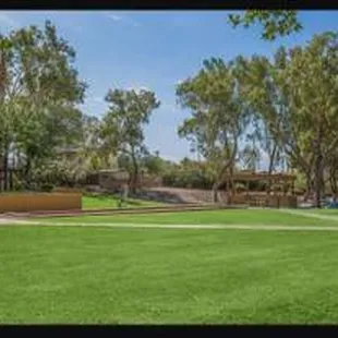 Large grassy areas to relax or play