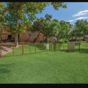 Large pet park for your furry friends