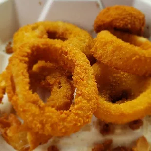 The fantastic onion rings
