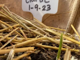 Worley's Greenhouse & Nursery