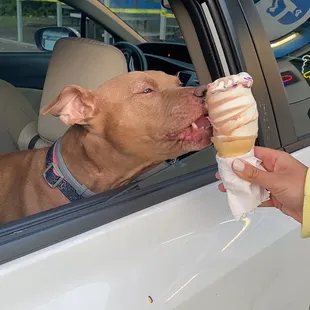 Twist cone