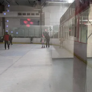 Arctic Zone Iceplex