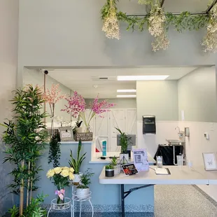 an office with a desk and plants