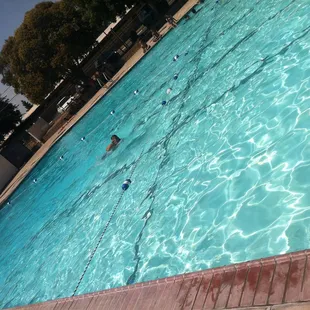 1 of two pOoLs here and this one is the largest with clean chlorinated H2O...