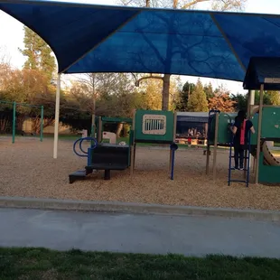 Having fun on another Saturday