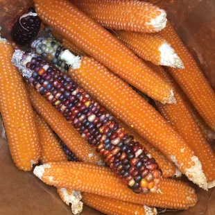 Yellow popcorn and Indian corn