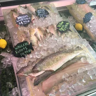 sashimi, sushi, sushi and sashimi, food