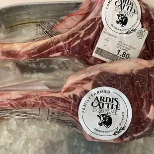 two raw lambs on ice