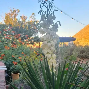 outside