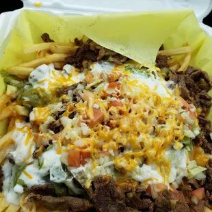 delicious carne asada fries