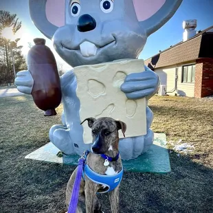 a dog sitting in front of a statue of a mouse