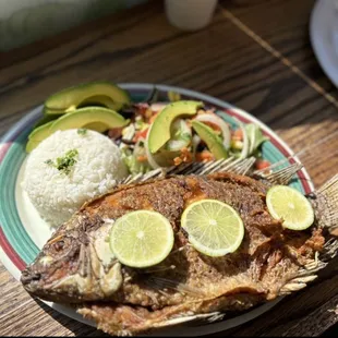a plate of fish with rice and avocado