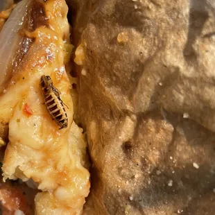 a close up of a burrito