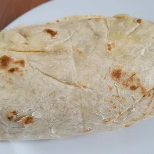 Big Burrito with shredded pork