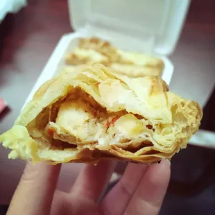 Chicken Empanadas