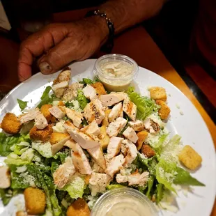 Grilled chicken salad
