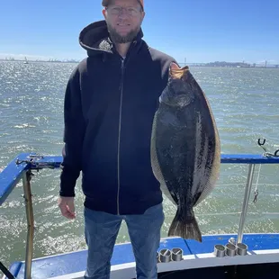 28" halibut