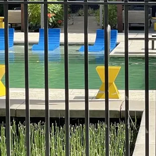 Green pool. It's been unusable most of the summer.