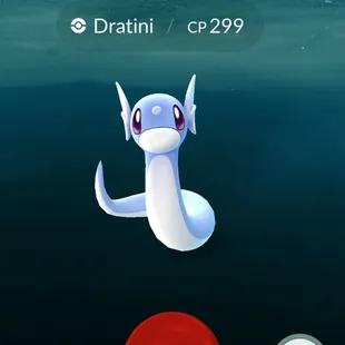 Trying to collect Dratini for PokemonGo? Here is the definite spot to collect!!!