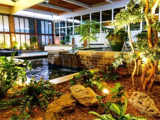 Tropical Courtyard
