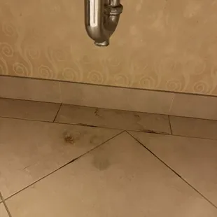 Mold under sink