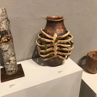 Argyle Zebra Gallery