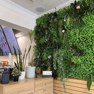 a green wall in a coffee shop