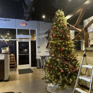 a christmas tree in a restaurant
