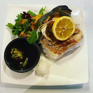 Yellowtail Collar