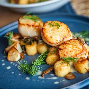 ARIA Scallops