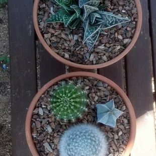 Lovely centerpieces for a wedding