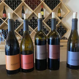 Several of the reds we tried.
