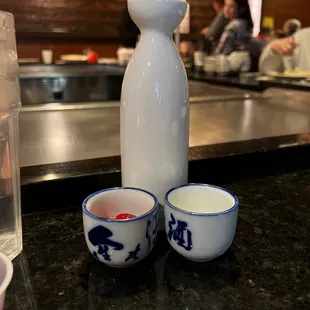 Large Hot sake