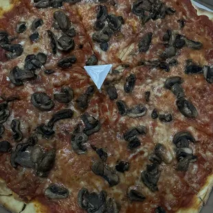 Medium Mushroom 16"
