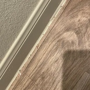 More dead ants