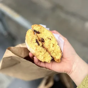 Corn Cherry Scones